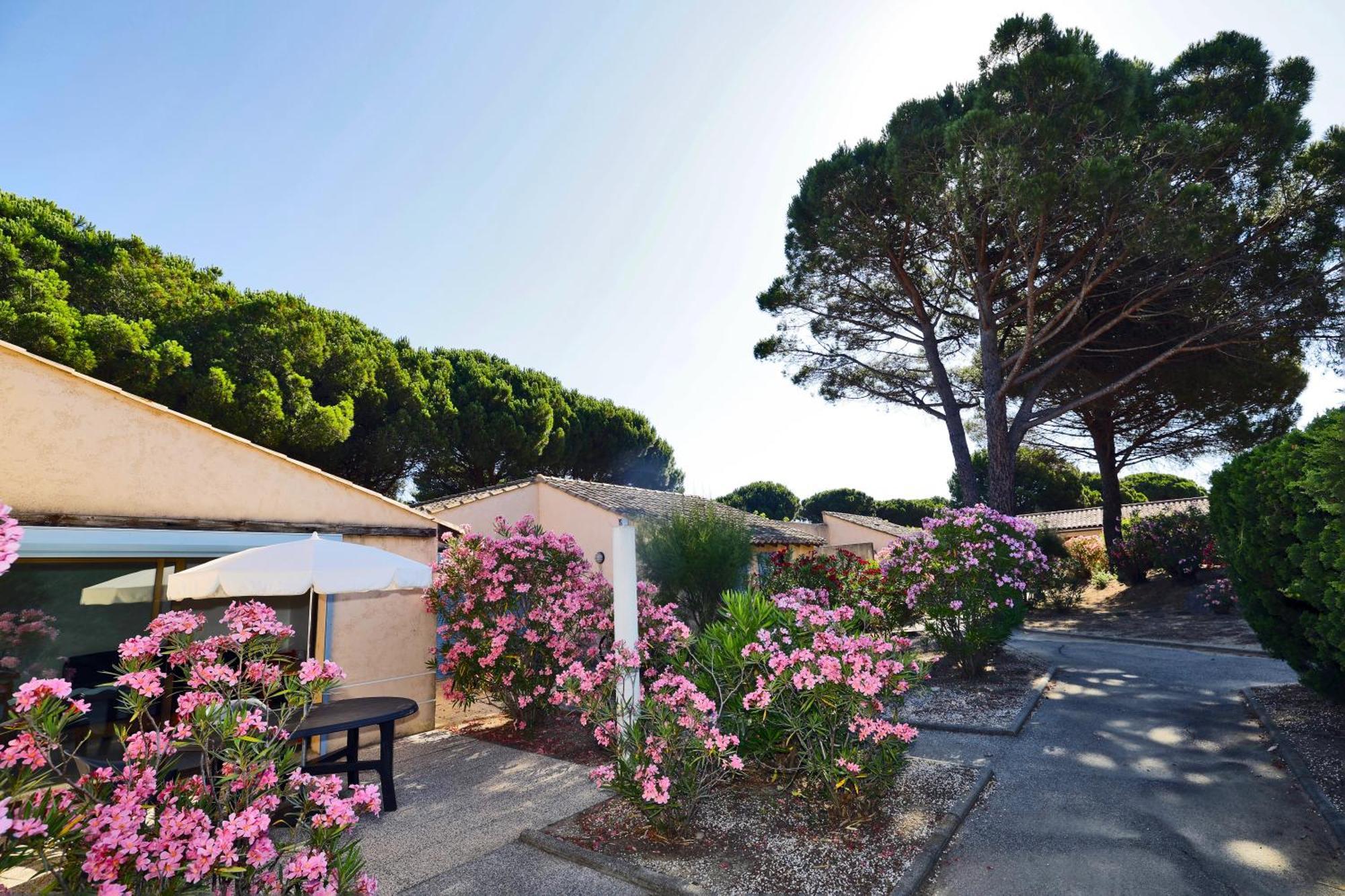 Village Vacances De Ramatuelle - Le Sentier Des Pins ภายนอก รูปภาพ