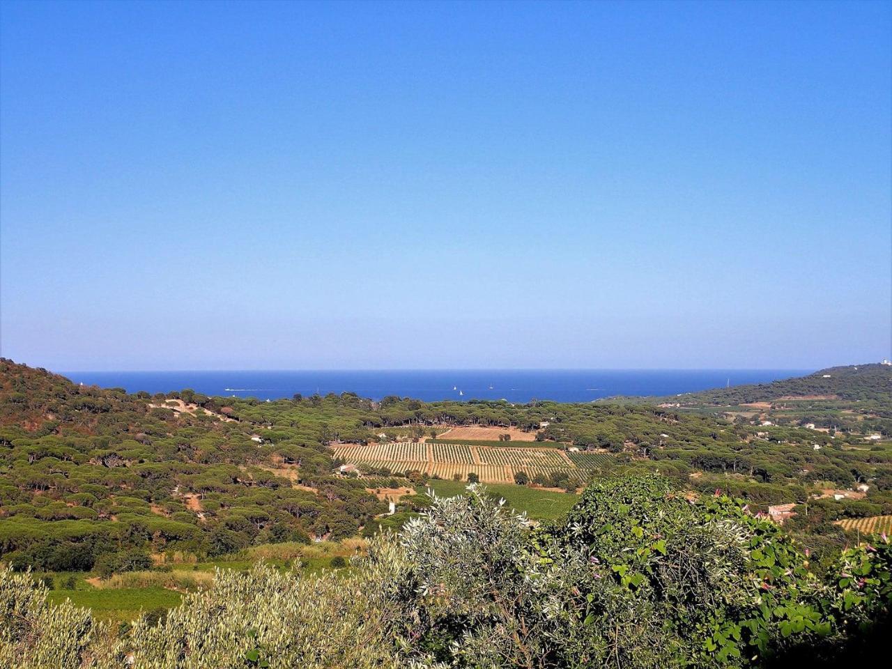 Village Vacances De Ramatuelle - Le Sentier Des Pins ภายนอก รูปภาพ